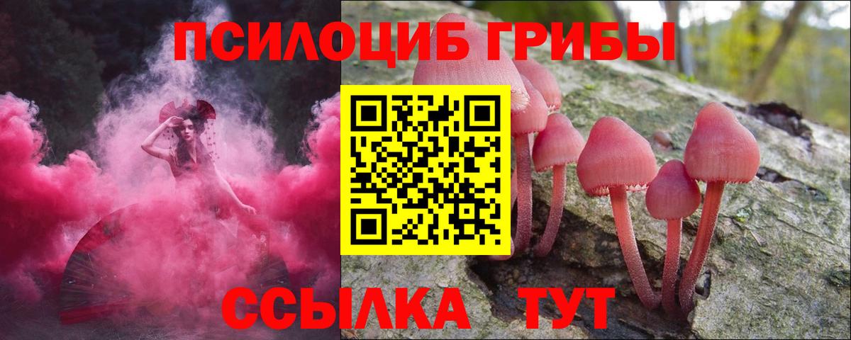 Псилоцибиновые грибы мицелий Каменка